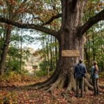 Champion Trees Near Lewis Center Ohio: Discover the Region’s Largest Natural Giants