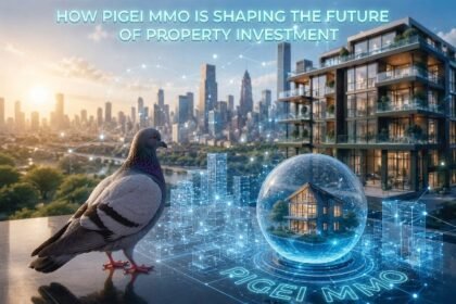 How Pigeimmo Is Shaping the Future of Property Investment