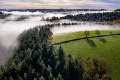 Bodenxt: Speeding up Sweden’s green transition by radically changing communities