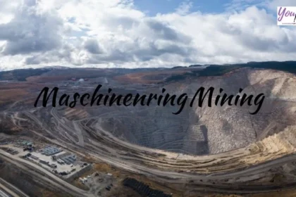 Maschinenring Mining: The Real Story Behind Austria’s Farm Cooperative in the Village of Mining